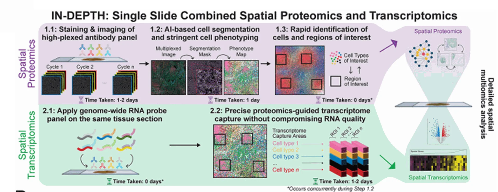 IN-DEPTH workflow diagram from Yeo et al 2024